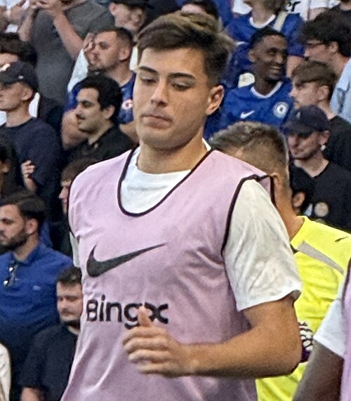 Aaron Anselmino