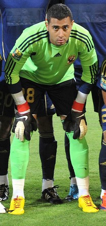 Ahmed Adel Abd El-Moneam
