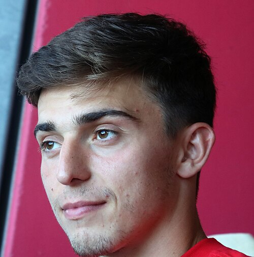 Albert Vallci