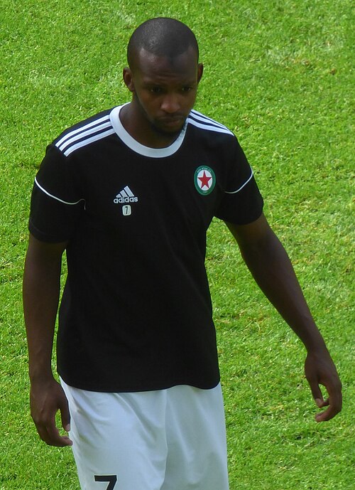 Amadou Diallo