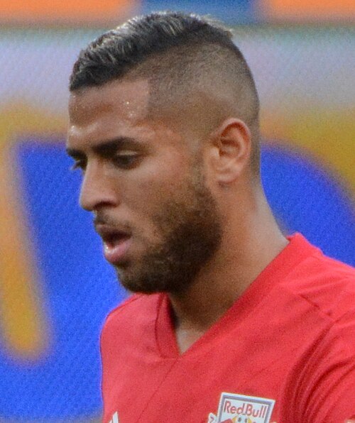 Amro Tarek