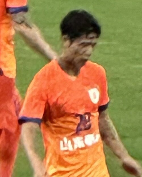 Chen Pu