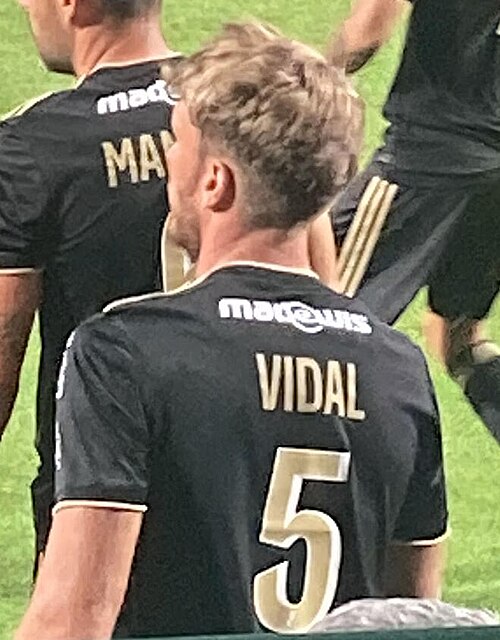 Clément Vidal