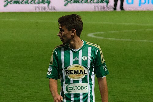 Dominik Mašek