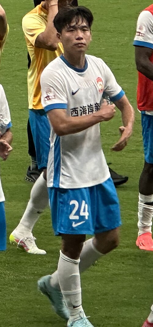 Duan Liuyu