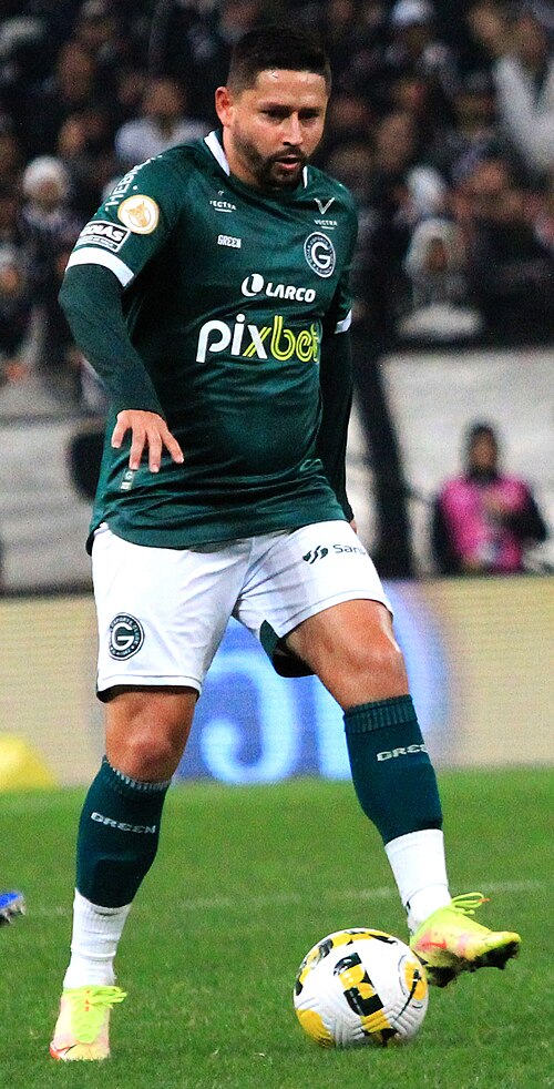 Elvis Vieira Araújo