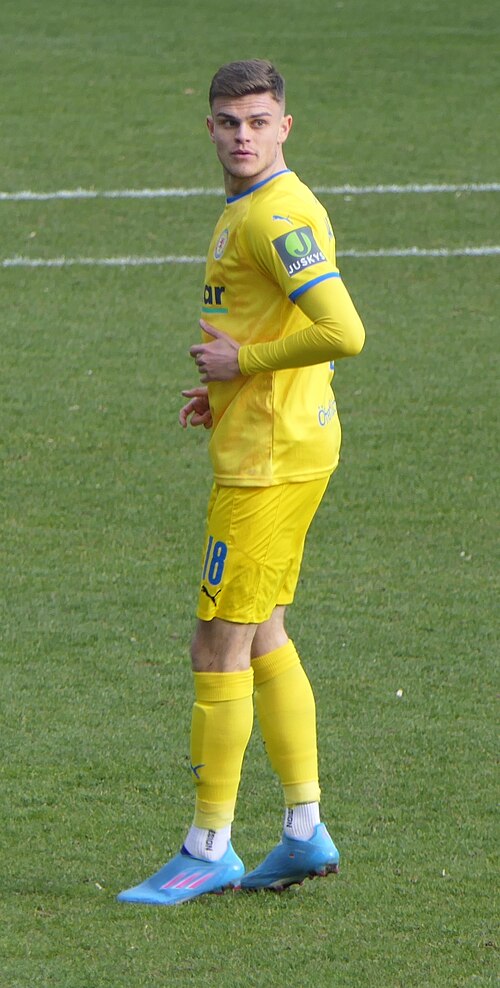 Fabrice Hartmann
