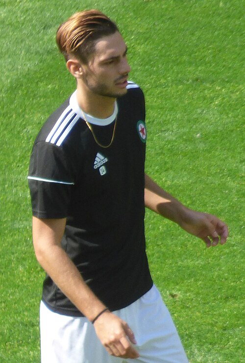 Grégory Berthier
