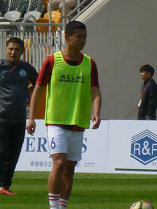 Hou Junjie