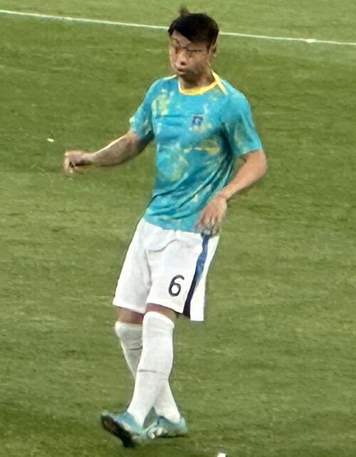 Hu Mingfei
