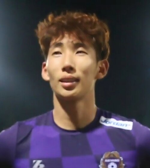Kim Jin-rae