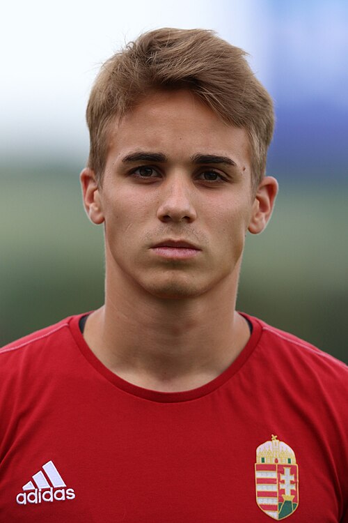 Kristóf Polgár