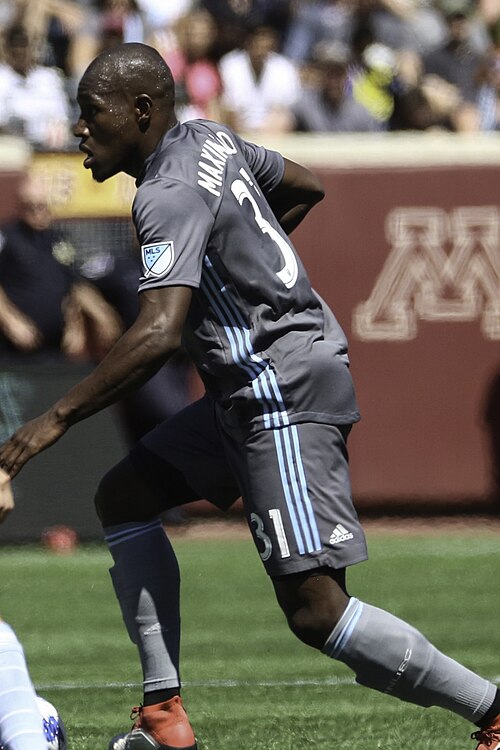 Luiz Fernando Ferreira Maximiano