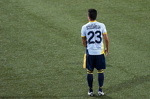 Matteo Scozzarella