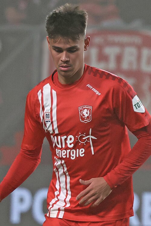 Mees Hilgers