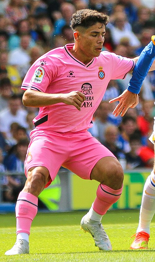 Nicolás Melamed Ribaudo