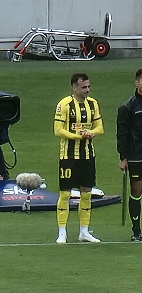 Nikola Mileusnic