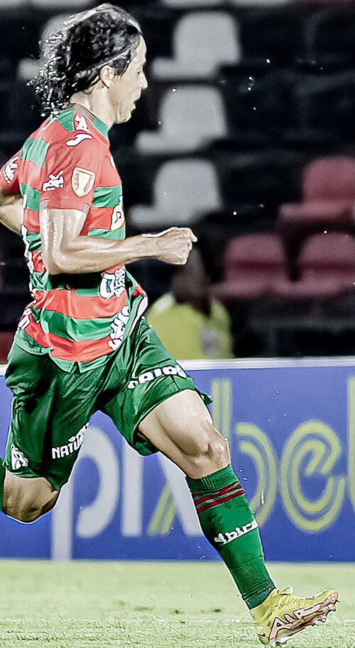 Ricardo Ribeiro de Lima