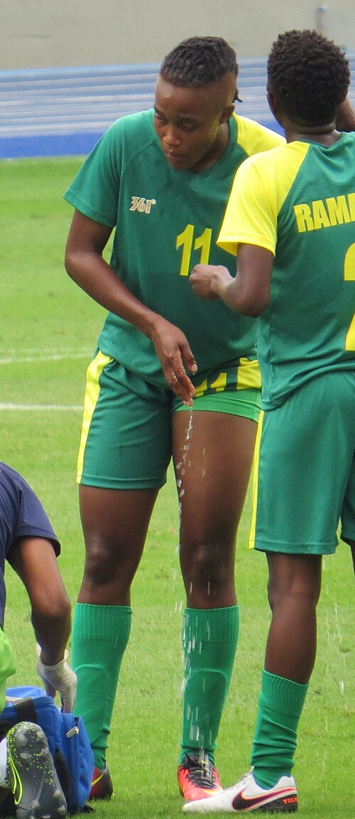Shiwe Nogwanya