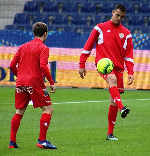 Tomi Petrović