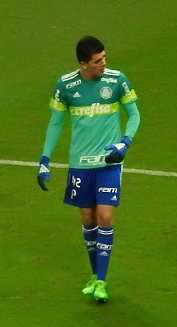 Vinicius Silvestre da Costa