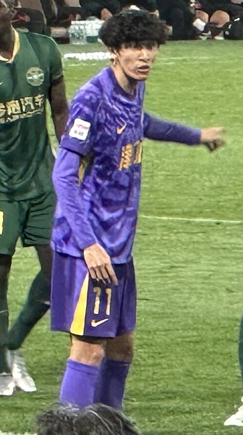 Xie Weijun